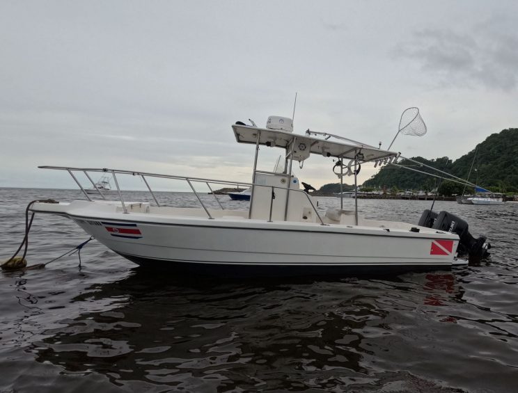 WhatsApp Image 2025-10-04 at 4.51.55 PM (2)